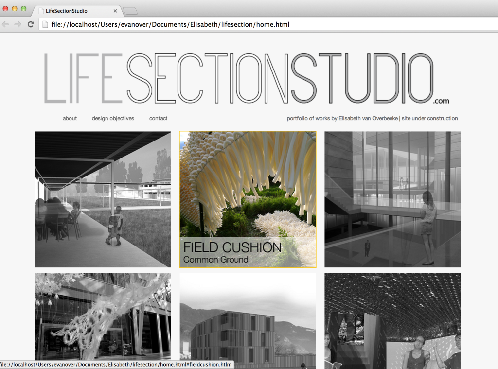 LifeSectionStudio homepage